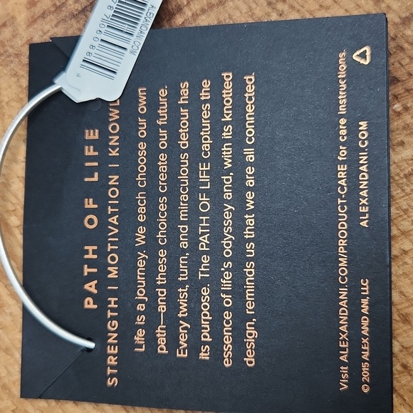 NWT Alex and Ani Path Of Life Silver Bracelet - Picture 5 of 5
